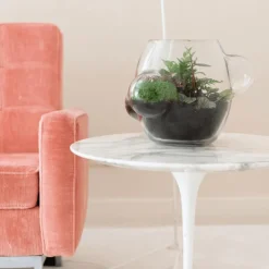 Local Habitat Terrarium Vaas