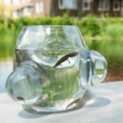 Local Habitat Terrarium Vaas