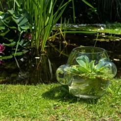 Local Habitat Terrarium Vaas