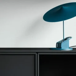 Mini Wandmodule Met Deur