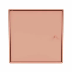 Mini Wandmodule Met Deur