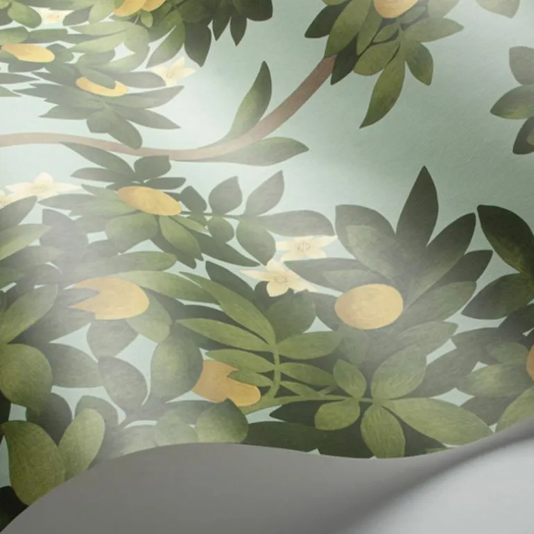 Orange Blossom Behang