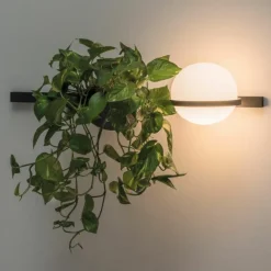 Palma Wandlamp