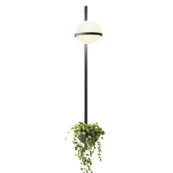Palma Wandlamp