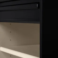 Pastoe A'dammer Kast Duotone