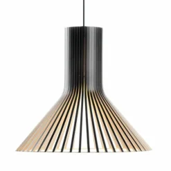 Puncto 4203 Hanglamp