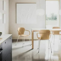 S 220 F Stoel Met Armleuning