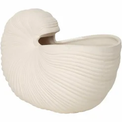 Shell Pot