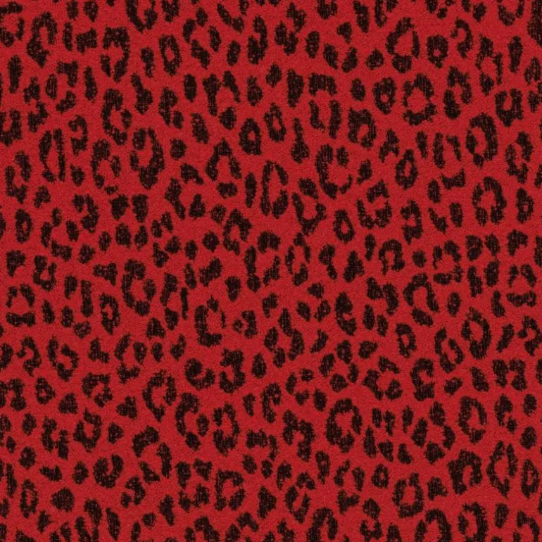 Togo Fauteuil The Wild One