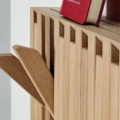 Xylo Coat Rack Kapstok